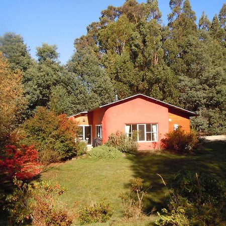 Whispering Spirit Holiday Cottages & Mini Ponies Franklin 외부 사진