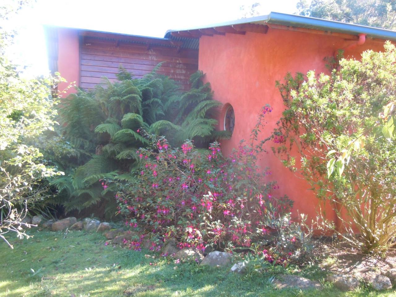 Whispering Spirit Holiday Cottages & Mini Ponies Franklin 외부 사진
